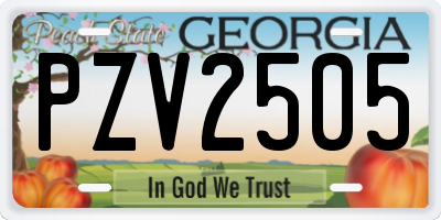 GA license plate PZV2505