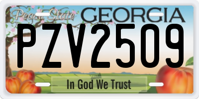 GA license plate PZV2509
