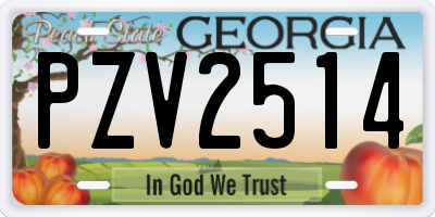 GA license plate PZV2514