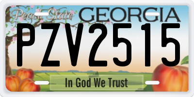 GA license plate PZV2515