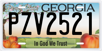 GA license plate PZV2521