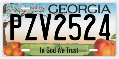 GA license plate PZV2524