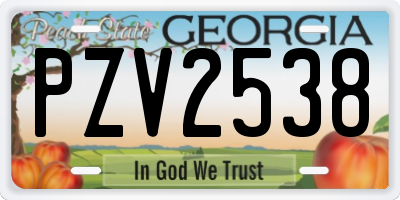 GA license plate PZV2538