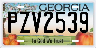 GA license plate PZV2539