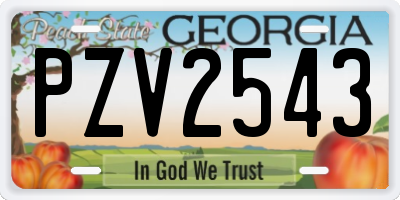 GA license plate PZV2543