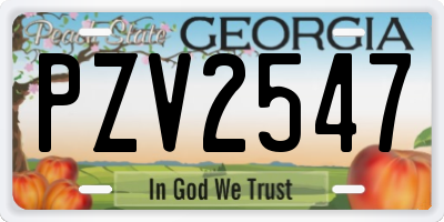 GA license plate PZV2547