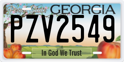 GA license plate PZV2549