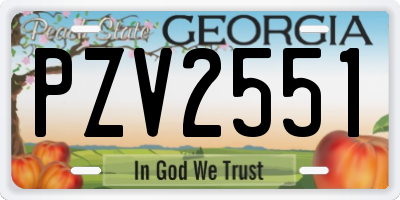 GA license plate PZV2551