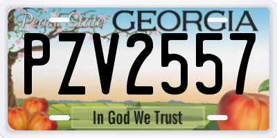GA license plate PZV2557