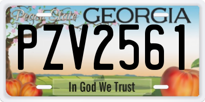 GA license plate PZV2561