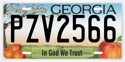 GA license plate PZV2566