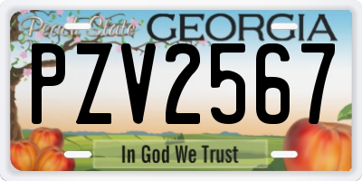 GA license plate PZV2567