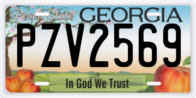 GA license plate PZV2569