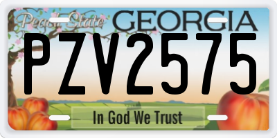 GA license plate PZV2575