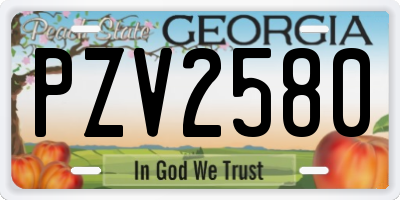 GA license plate PZV2580