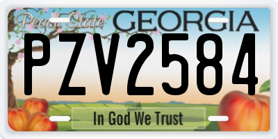GA license plate PZV2584