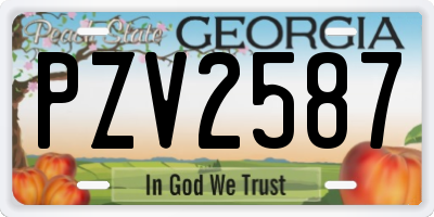 GA license plate PZV2587