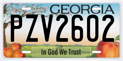 GA license plate PZV2602