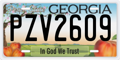 GA license plate PZV2609