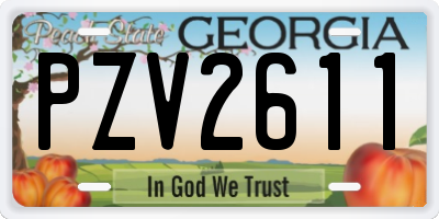 GA license plate PZV2611