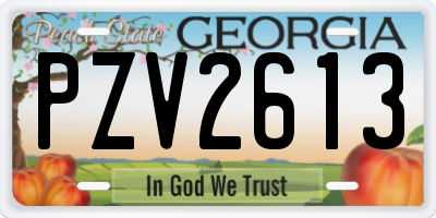 GA license plate PZV2613
