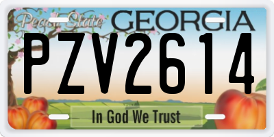 GA license plate PZV2614