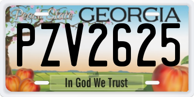 GA license plate PZV2625