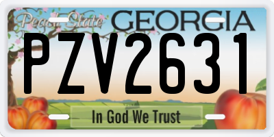 GA license plate PZV2631