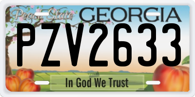 GA license plate PZV2633