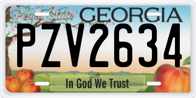 GA license plate PZV2634