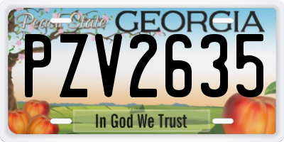 GA license plate PZV2635