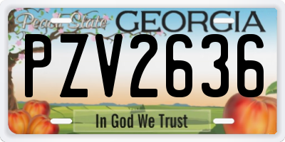 GA license plate PZV2636