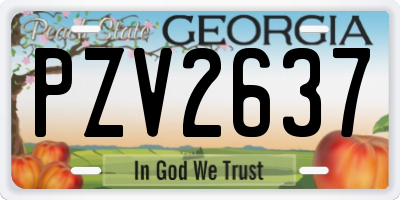 GA license plate PZV2637