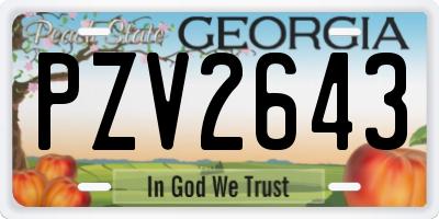GA license plate PZV2643