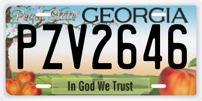 GA license plate PZV2646