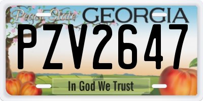 GA license plate PZV2647