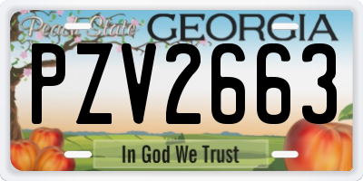 GA license plate PZV2663