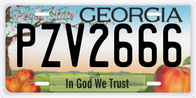 GA license plate PZV2666