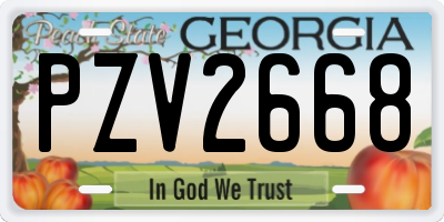 GA license plate PZV2668
