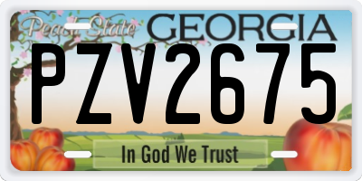 GA license plate PZV2675