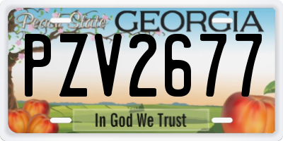 GA license plate PZV2677