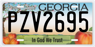 GA license plate PZV2695