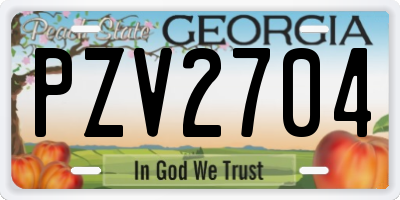 GA license plate PZV2704