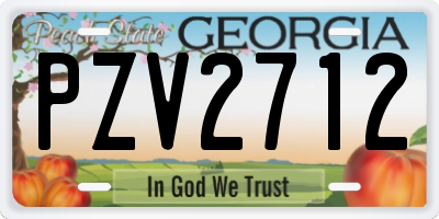 GA license plate PZV2712