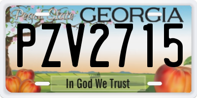 GA license plate PZV2715