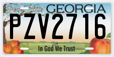 GA license plate PZV2716
