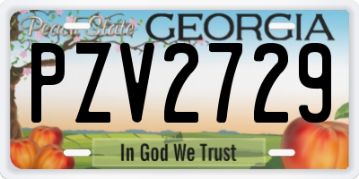 GA license plate PZV2729