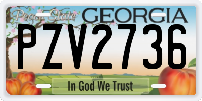 GA license plate PZV2736