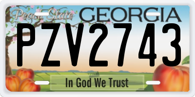 GA license plate PZV2743