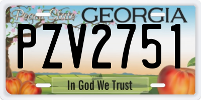 GA license plate PZV2751